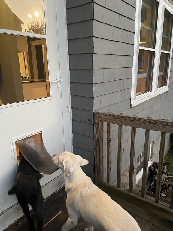 48 Kimball Road Dedham, MA 02026 - Photo 24 of 27