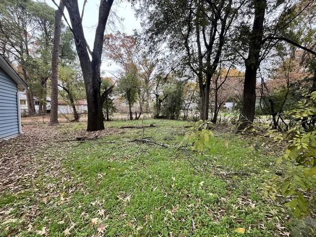 a view of backyard with tree