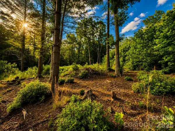 $44,900 | 201 Cross Creek N Ridge Drive, Unit 46, Marion, NC 28752