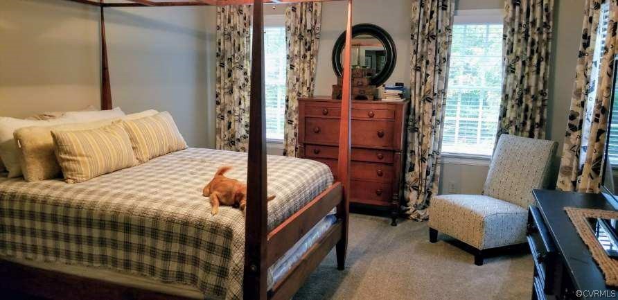 878 Three Chopt Road Manakin-Sabot, VA 23103 - Photo 9 of 11 Large Primary bedroom with carpeting and ceiling f