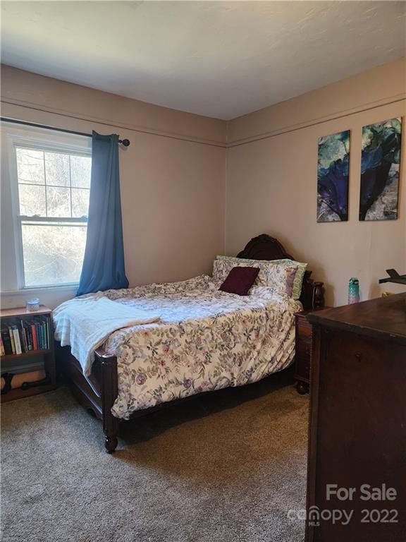 87 Springbrook Road Woodfin, NC 28804 - Photo 15 of 26 Gallery Image 15