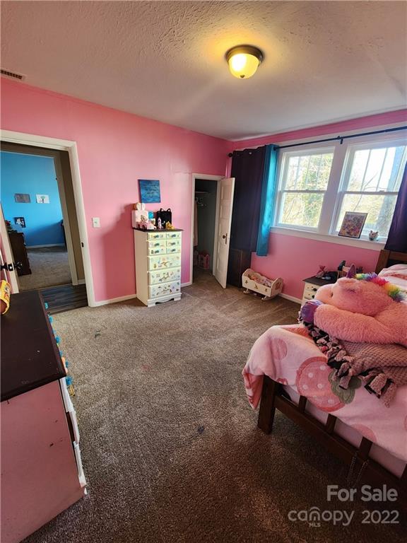 87 Springbrook Road Woodfin, NC 28804 - Photo 20 of 26 Gallery Image 20