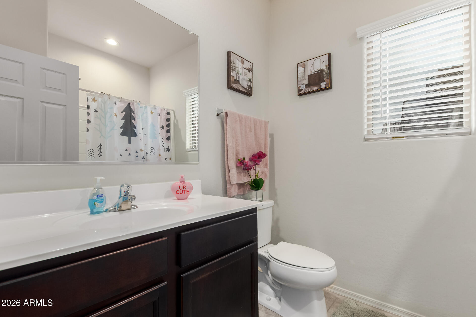 11214 West Bloch Road Tolleson, AZ 85353 - Photo 20 of 24 a bathroom with a sink mirror vanity and toilet