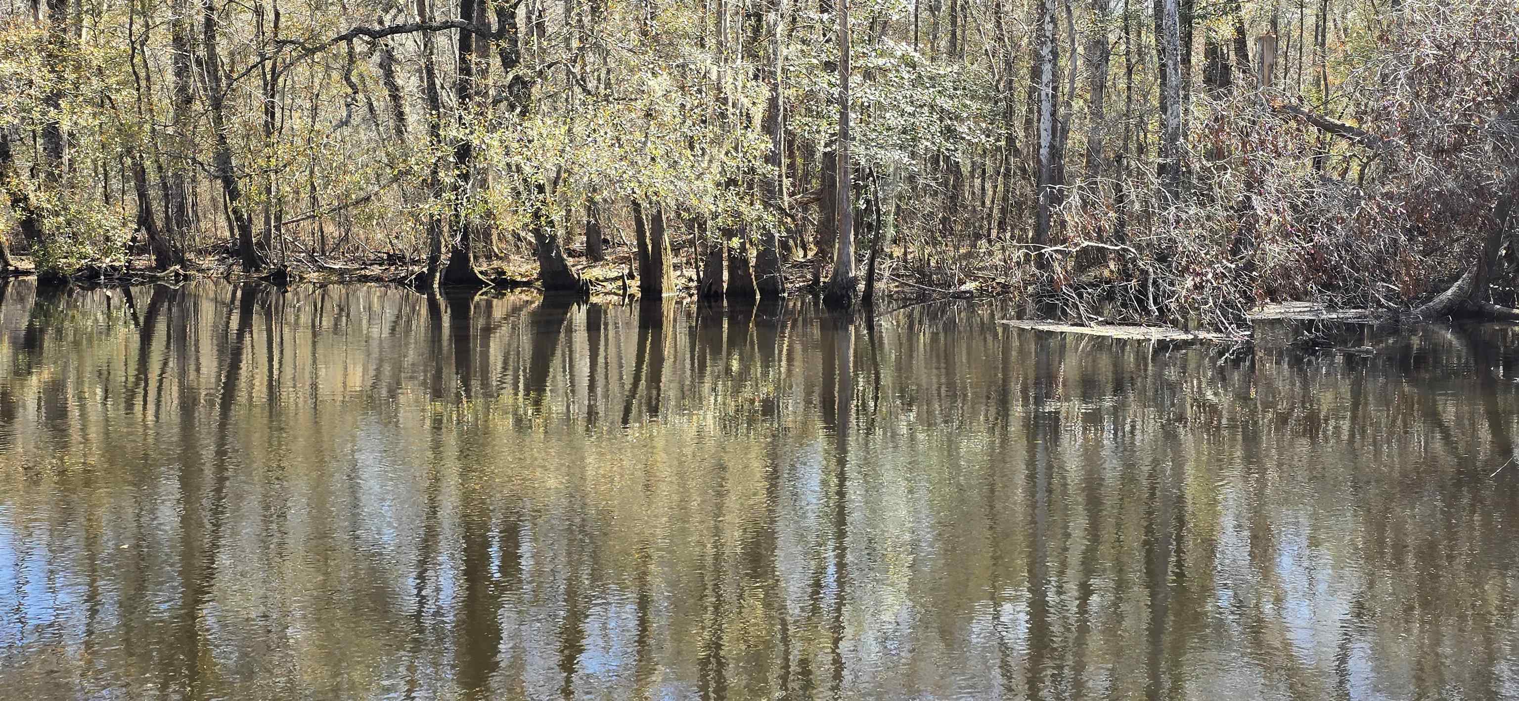 415 Locust Tree Court Gresham, SC 29546 - Photo 42 of 42
