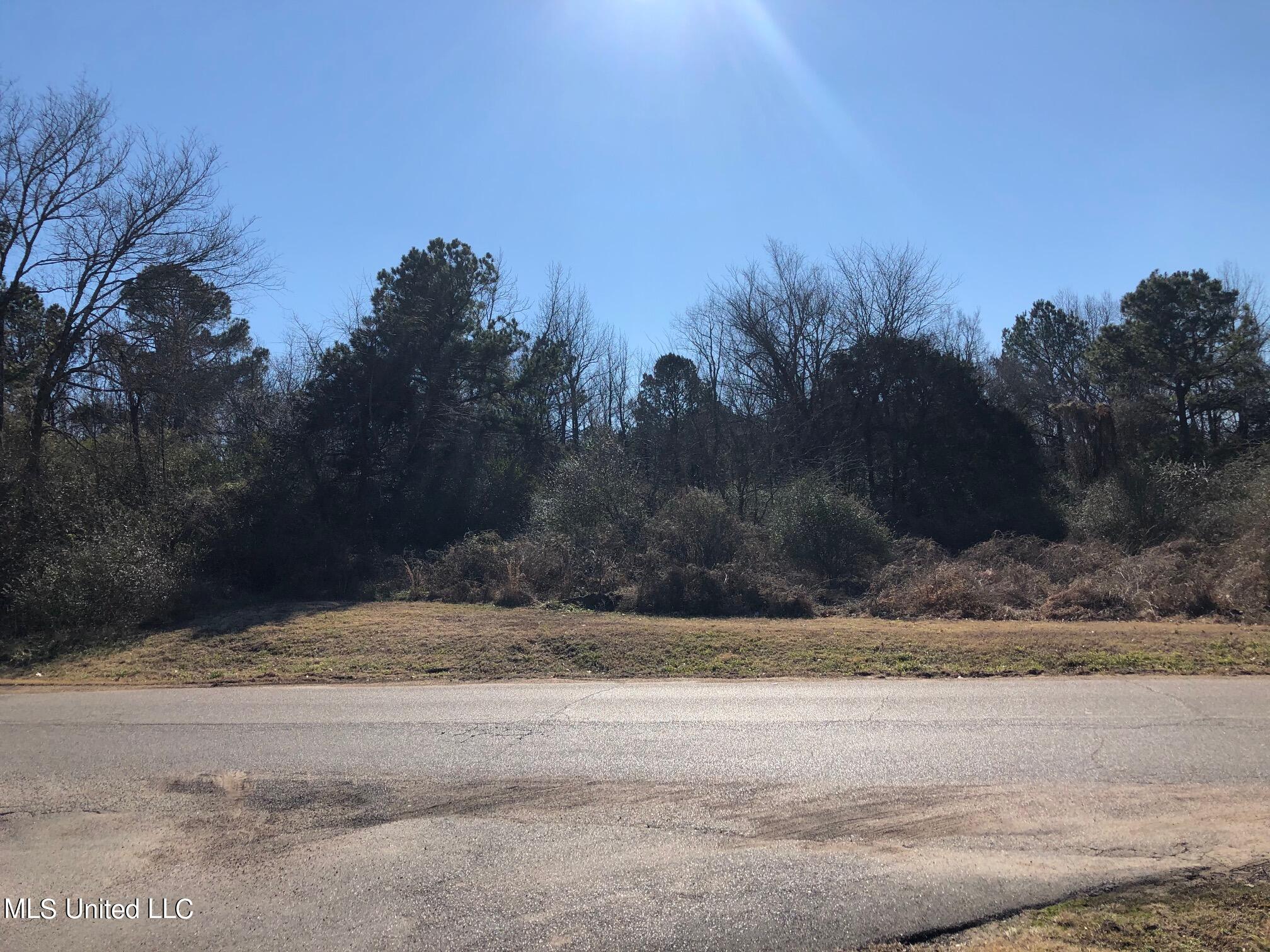 7797 West Sandidge Road Olive Branch, MS 38654 - Photo 1 of 4 Sandidge 2