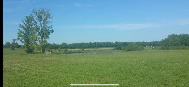 1810 Longview Road Bell Buckle, TN 37020 - Photo 18 of 23 Gallery Image 18