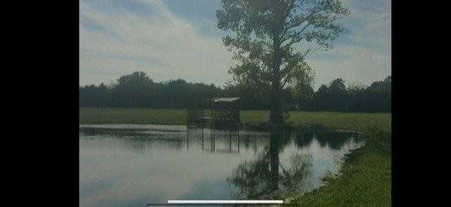 1810 Longview Road Bell Buckle, TN 37020 - Photo 19 of 23 Gallery Image 19