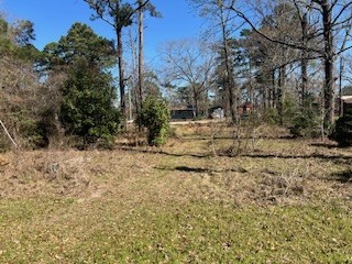 171 Cherry Tree Livingston, TX 77351 - Photo 3 of 28 a view of a yard with trees