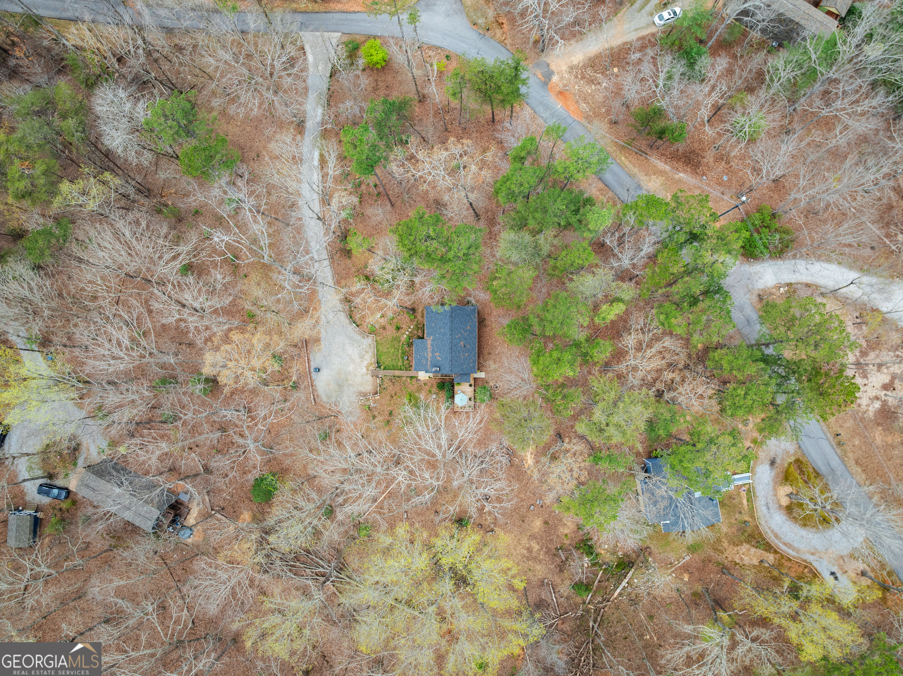 426 Skyview Circle Clarkesville, GA 30523 - Photo 34 of 42 a view of a yard with plants and large trees