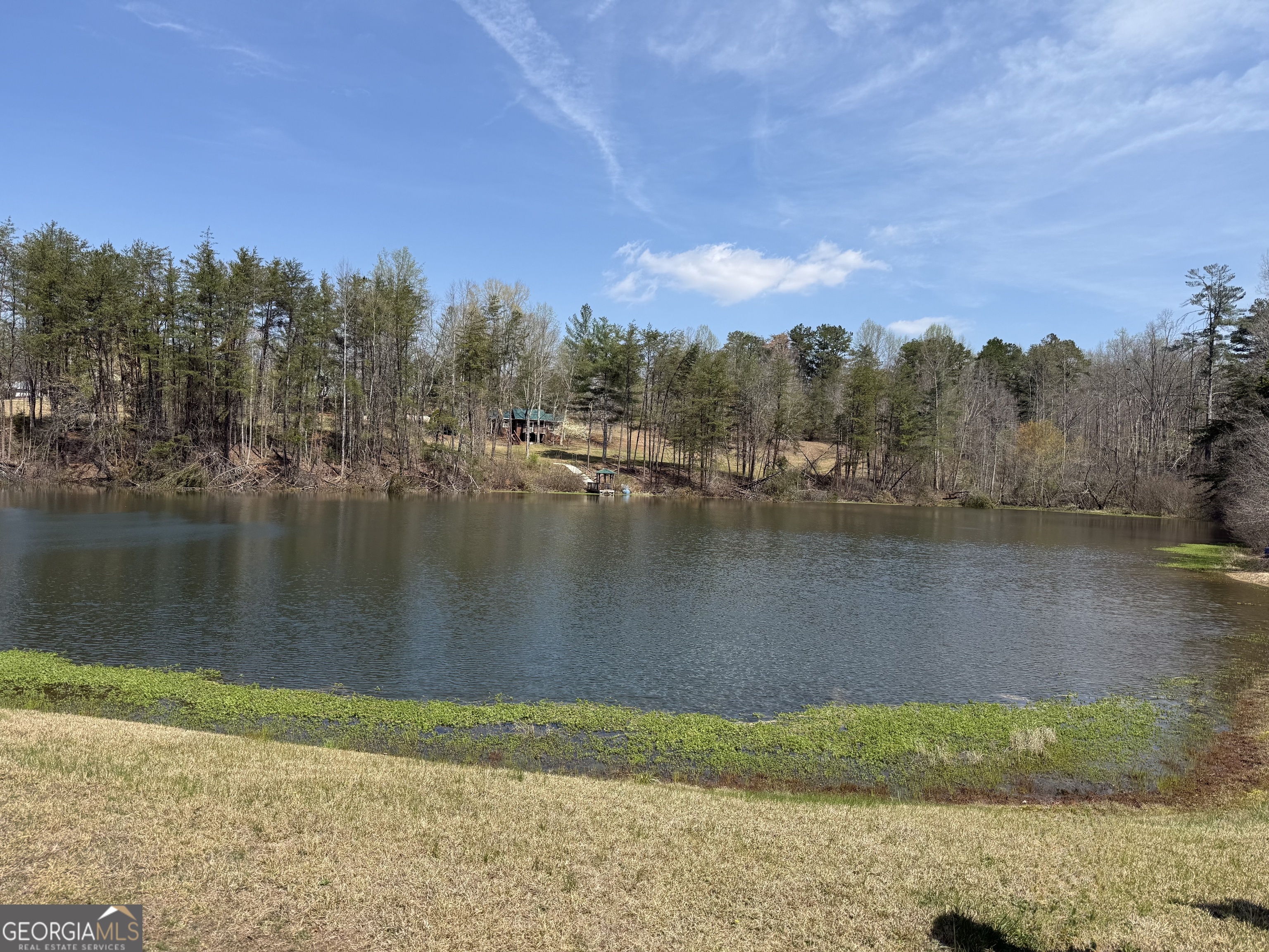 426 Skyview Circle Clarkesville, GA 30523 - Photo 42 of 42 a view of a lake with a yard