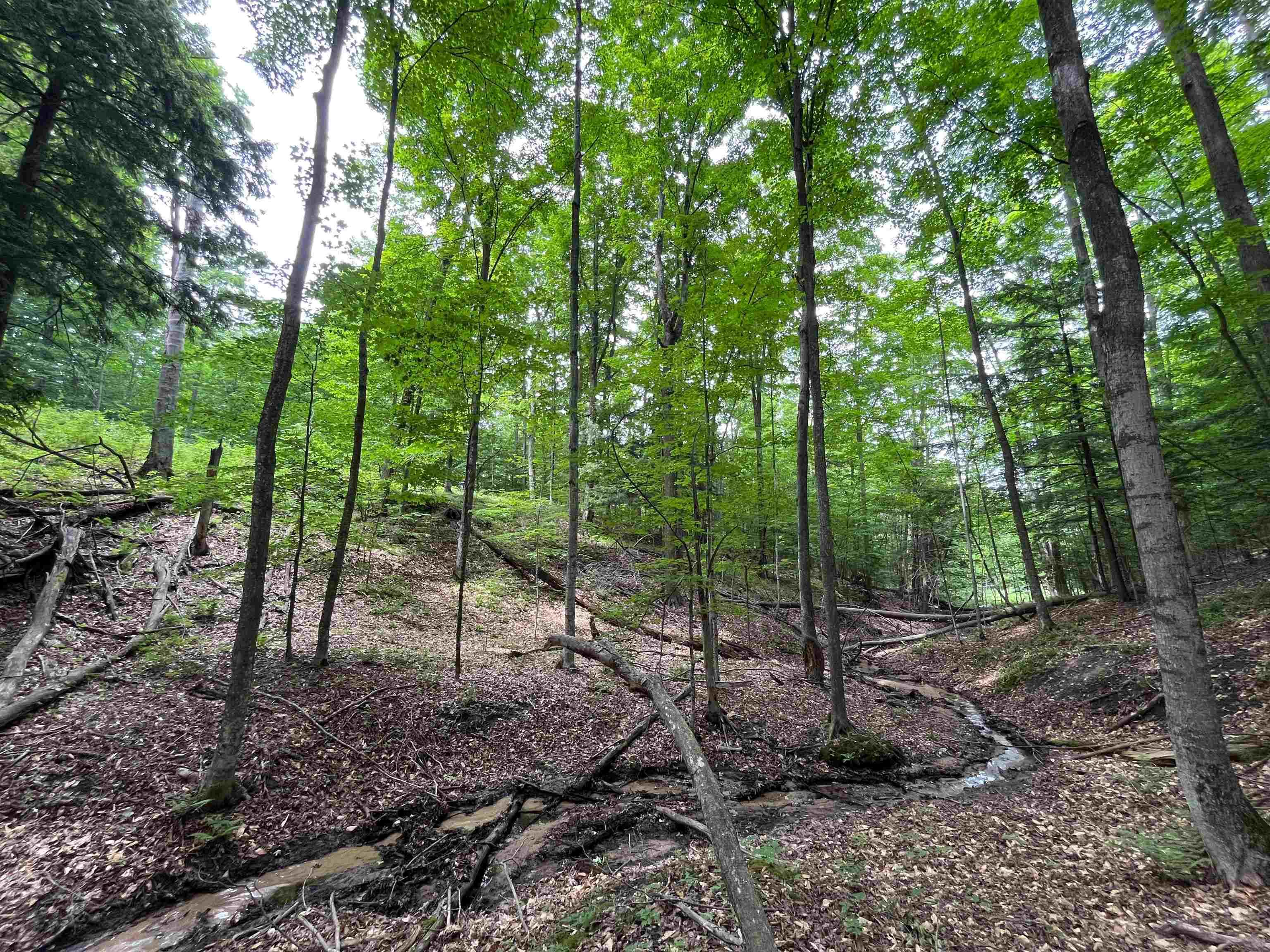 East Fouch Road Traverse City, MI 49684 - Photo 26 of 40 Gallery Image 26