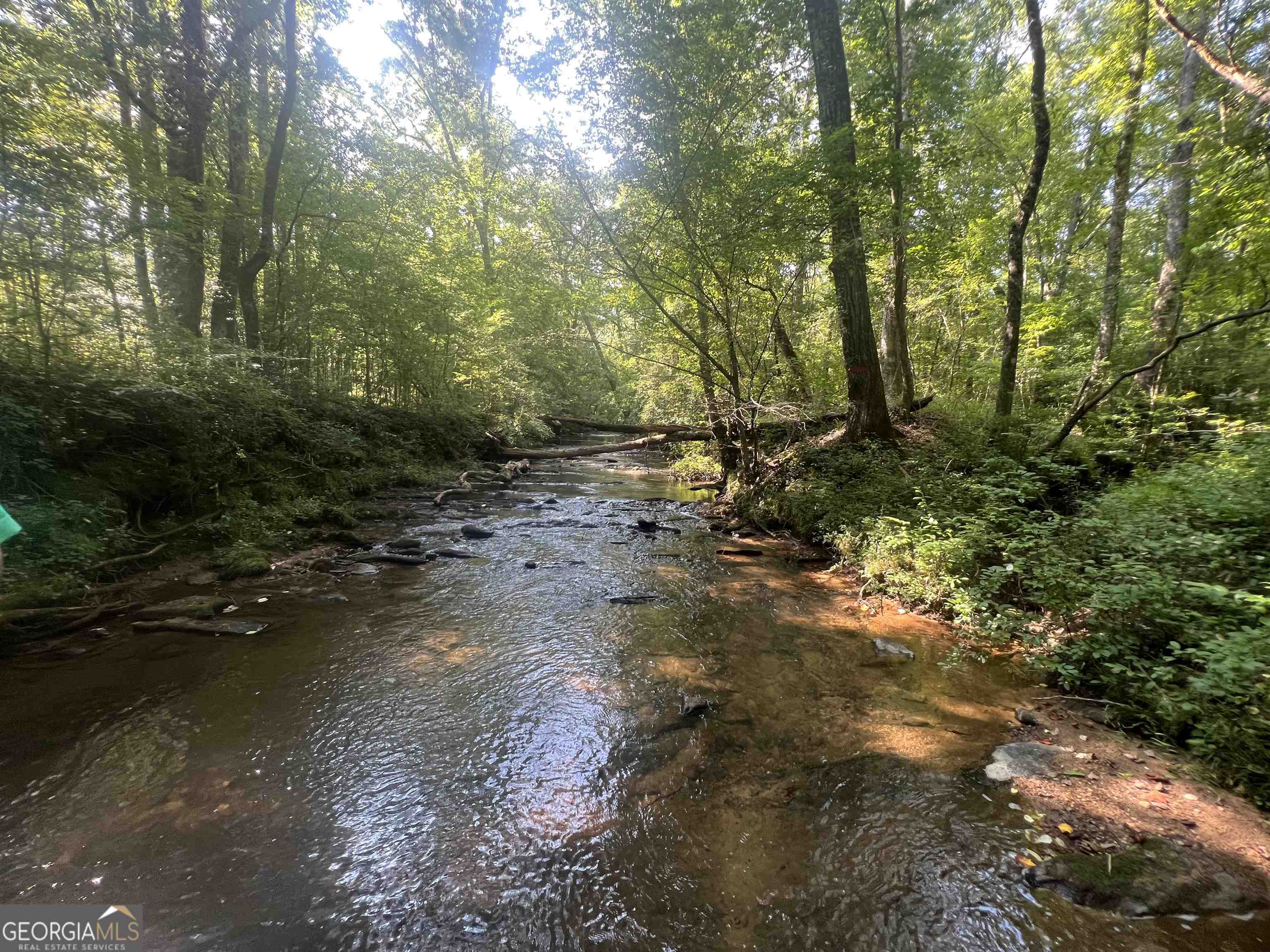 0 Notnomis Road, Unit 50 3 Franklin, GA 30217 - Photo 1 of 1 a view of a forest filled with trees