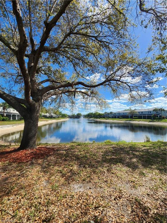 14708 Sutherland Avenue Naples, FL 34119 - Photo 23 of 24 Water view