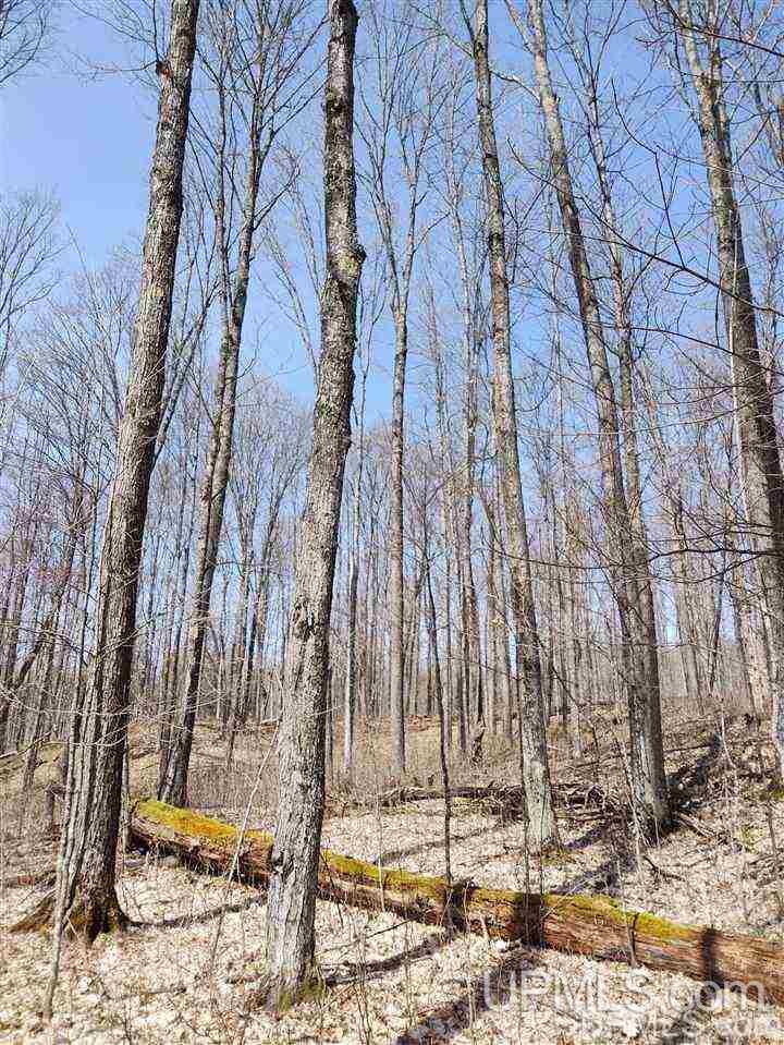 12234 Krolik Road Baraga, MI 49908 - Photo 23 of 36 Gallery Image 23