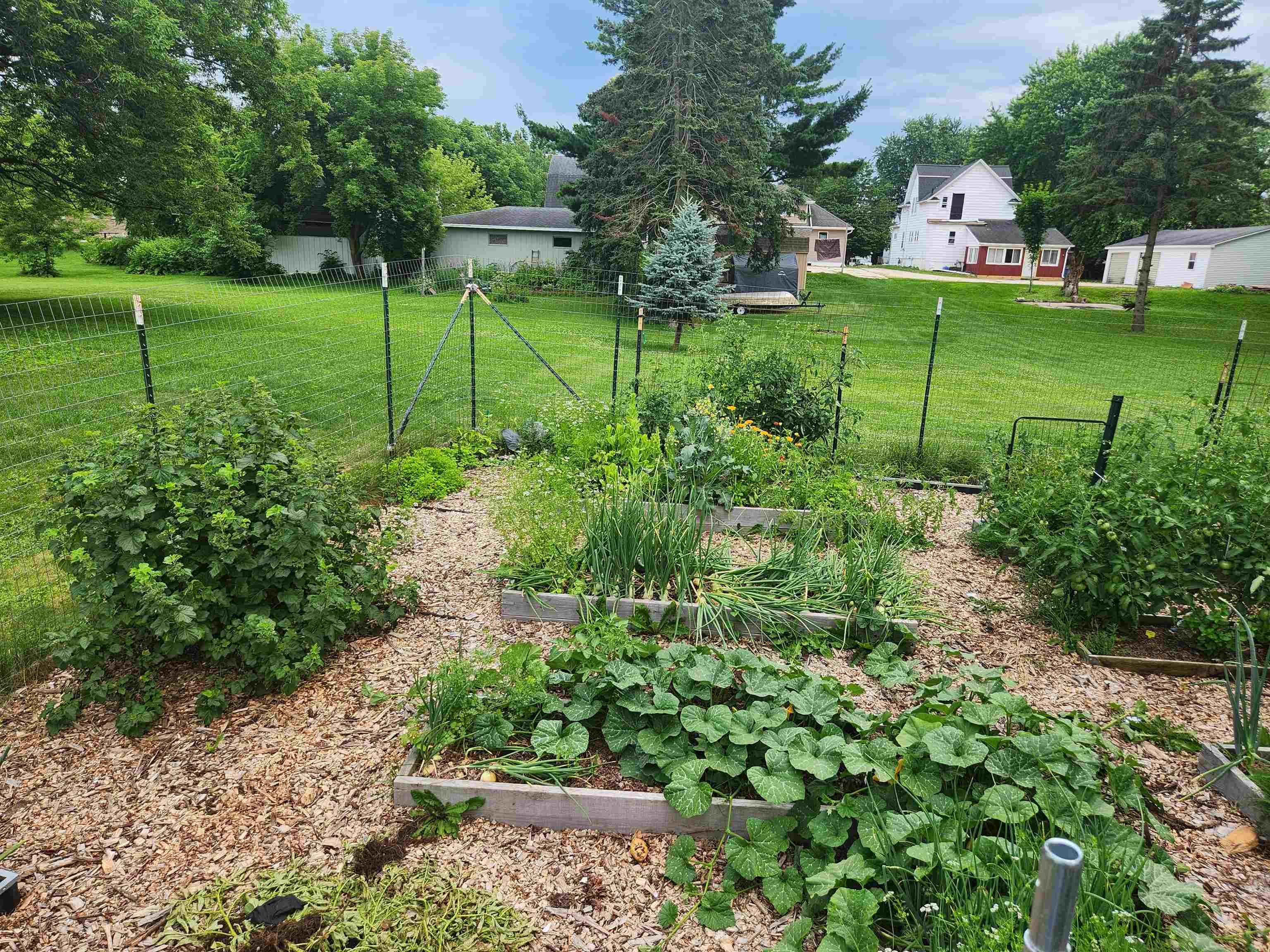 313 Steven Court Denmark, WI 54208 - Photo 29 of 30