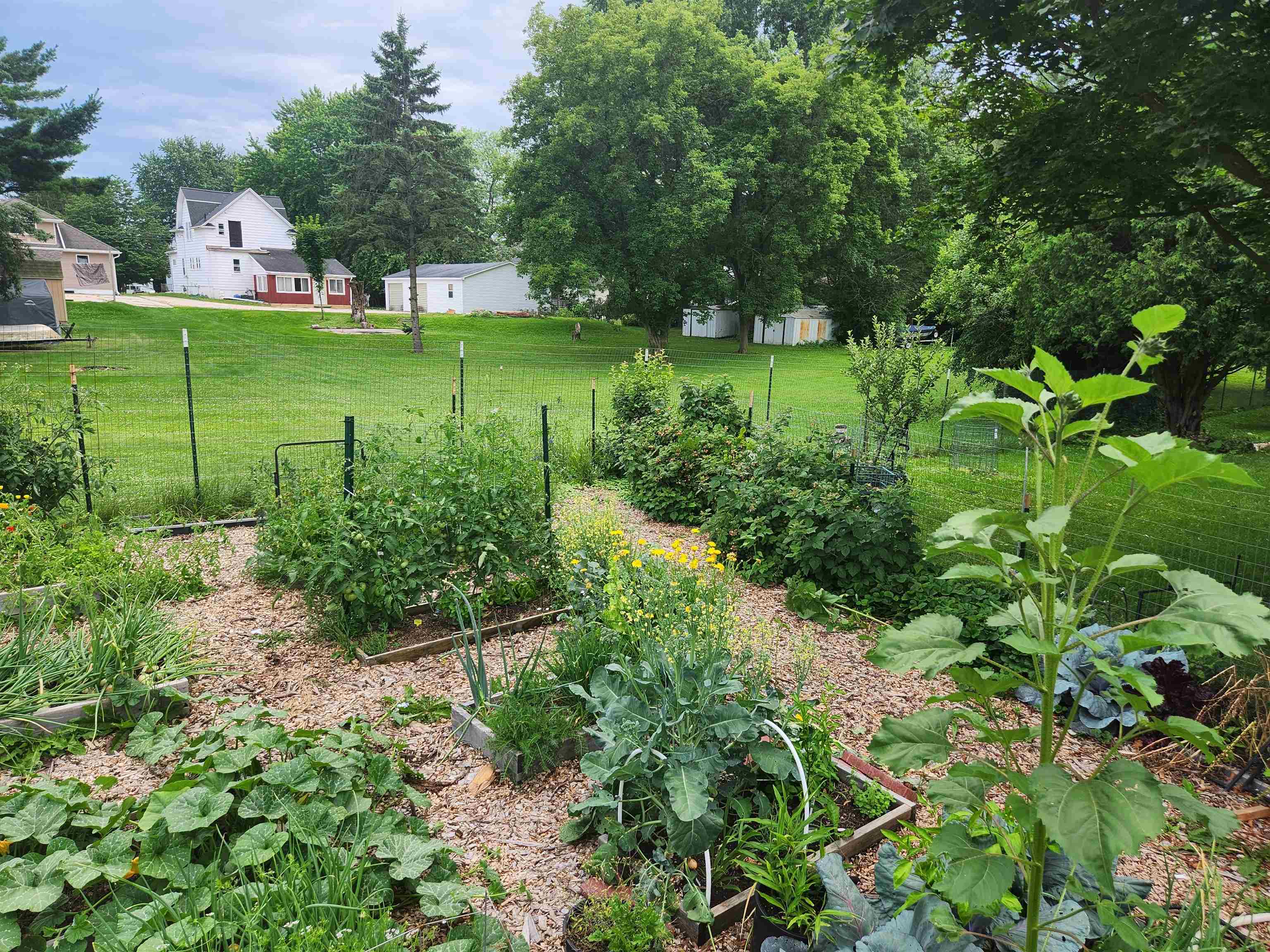 313 Steven Court Denmark, WI 54208 - Photo 30 of 30