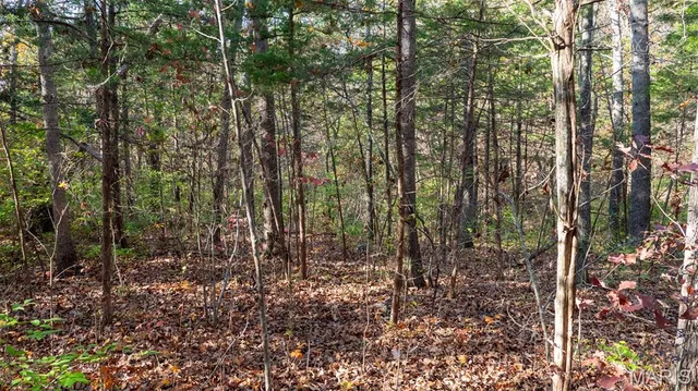 $240,000 | 0 Mo-v Union, Union, MO 63084