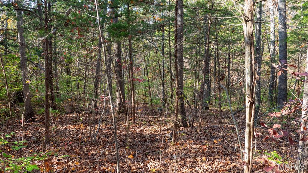 0 Mo-v Union Union, MO 63084 - Photo 20 of 39