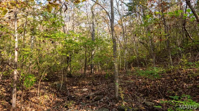 $240,000 | 0 Mo-v Union, Union, MO 63084