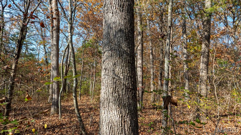 0 Mo-v Union Union, MO 63084 - Photo 23 of 39