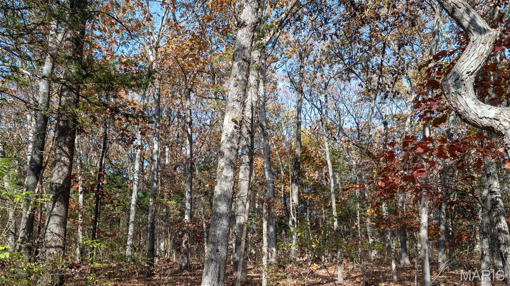 0 Mo-v Union Union, MO 63084 - Photo 24 of 39