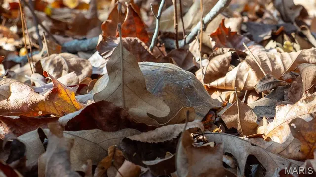 $240,000 | 0 Mo-v Union, Union, MO 63084