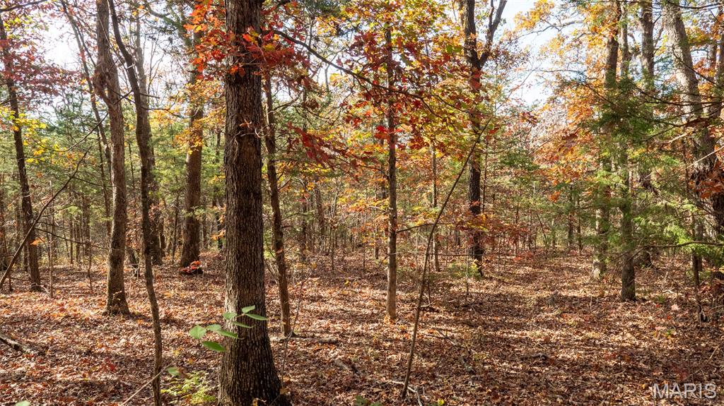 0 Mo-v Union Union, MO 63084 - Photo 27 of 39