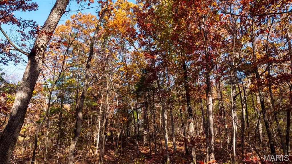 0 Mo-v Union Union, MO 63084 - Photo 32 of 39