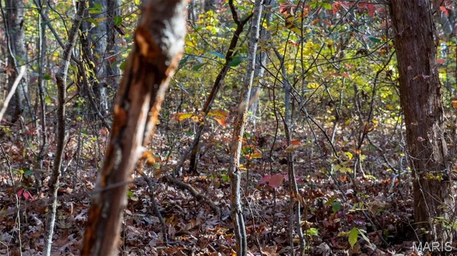 $240,000 | 0 Mo-v Union, Union, MO 63084