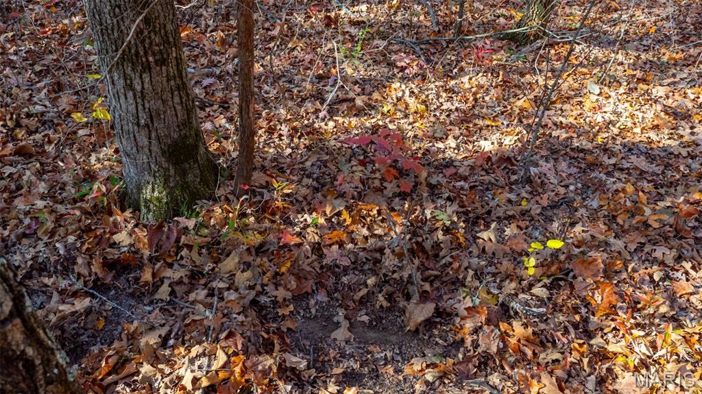 0 Mo-v Union Union, MO 63084 - Photo 34 of 39