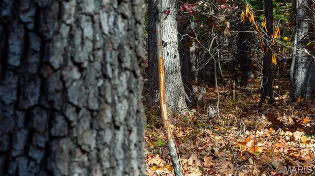 $240,000 | 0 Mo-v Union, Union, MO 63084