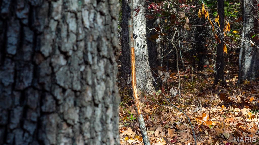 0 Mo-v Union Union, MO 63084 - Photo 35 of 39