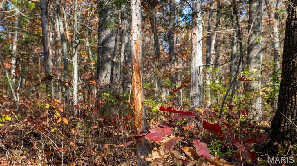 0 Mo-v Union Union, MO 63084 - Photo 38 of 39