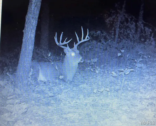 $240,000 | 0 Mo-v Union, Union, MO 63084