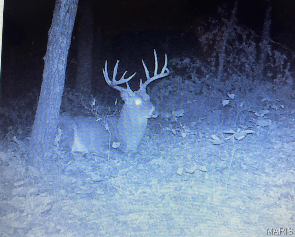 0 Mo-v Union Union, MO 63084 - Photo 7 of 39
