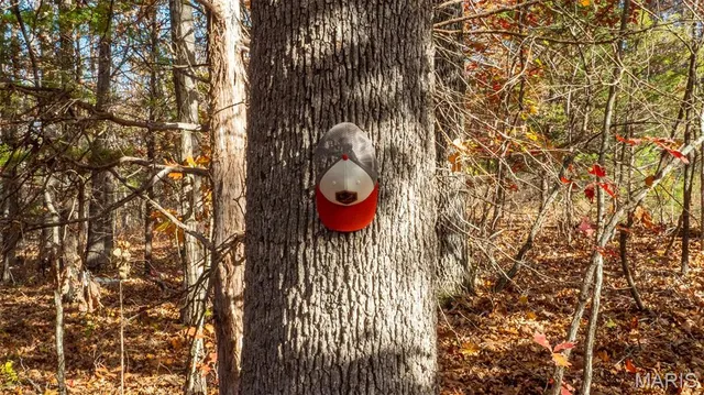 $240,000 | 0 Mo-v Union, Union, MO 63084