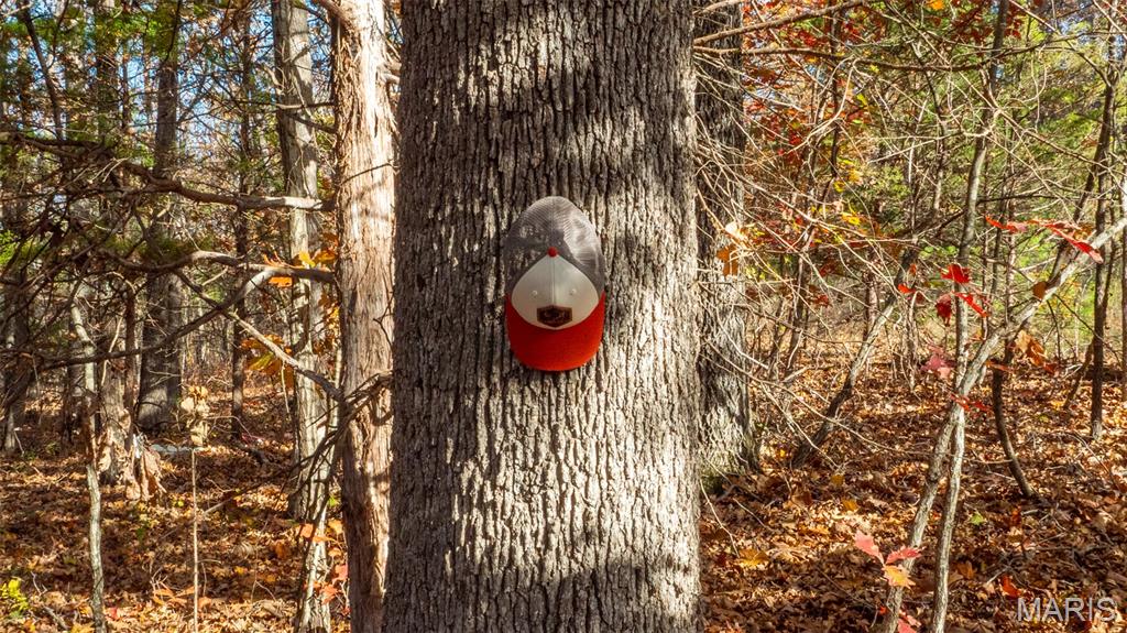 0 Mo-v Union Union, MO 63084 - Photo 8 of 39