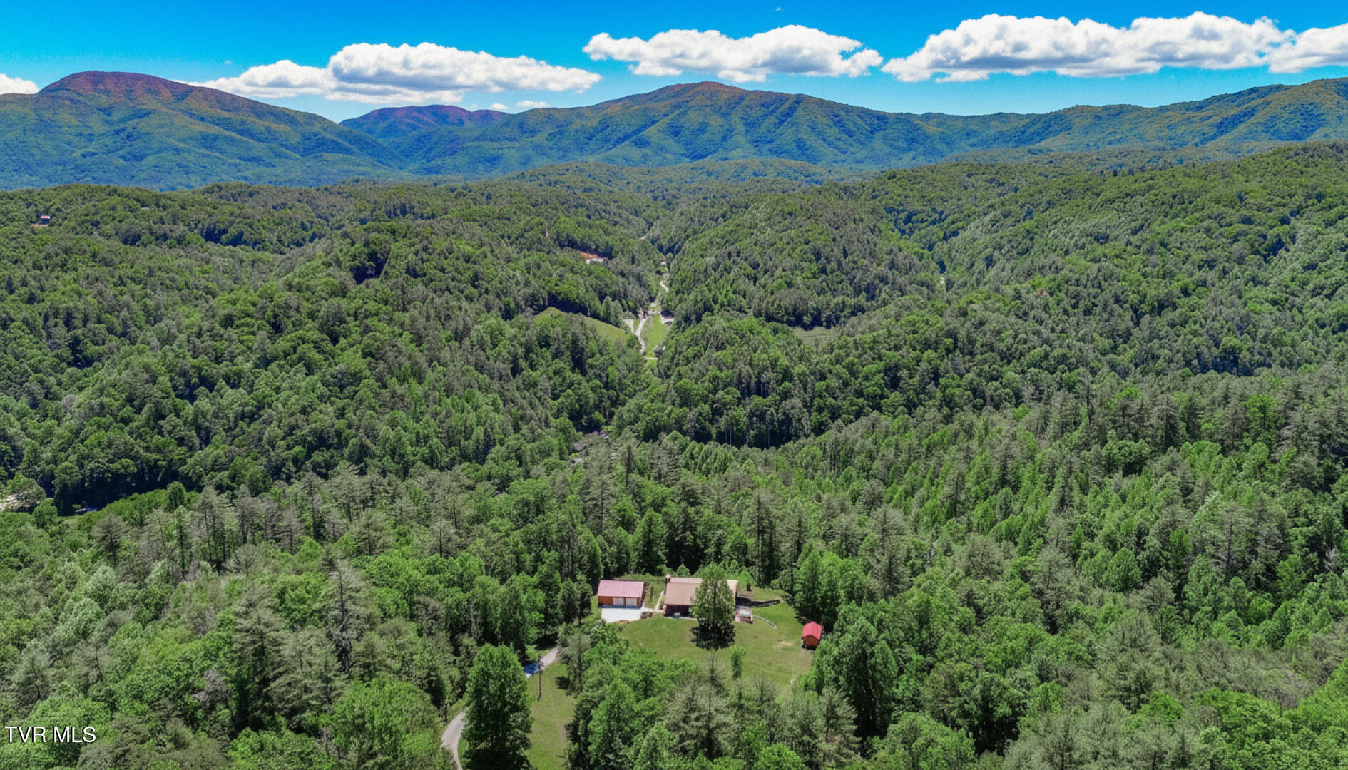 1211 Punkton Road Del Rio, TN 37727 - Photo 57 of 63 50