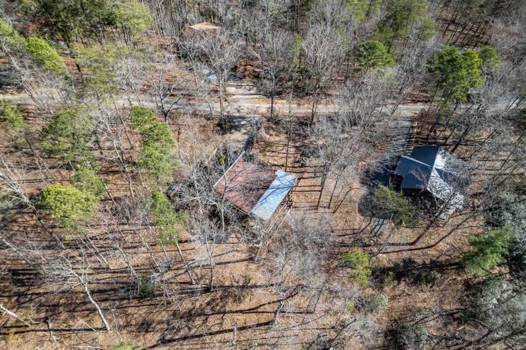100 Smith Hill Road Blue Ridge, GA 30513 - Photo 54 of 66 Gallery Image 54