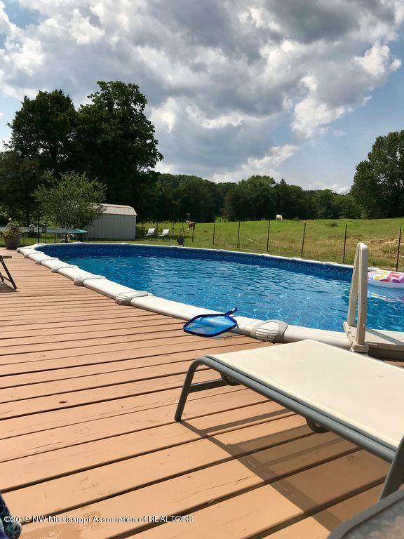 7420 Byhalia Road Olive Branch, MS 38654 - Photo 24 of 27 pool 1