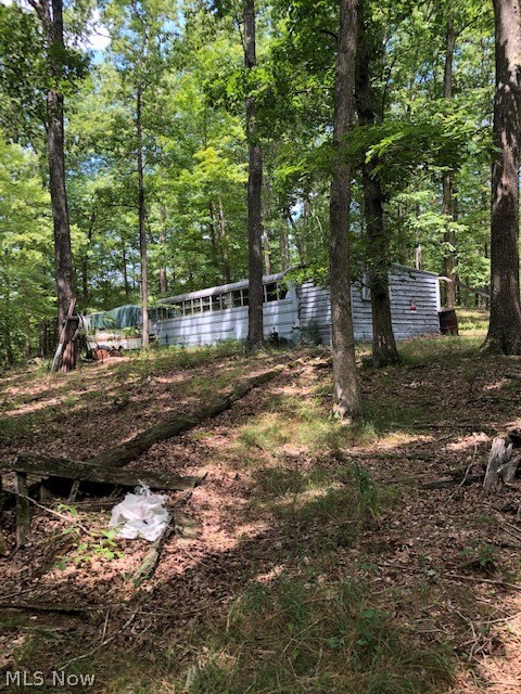 Chanteclair Road Cairo, WV 26337 - Photo 3 of 21