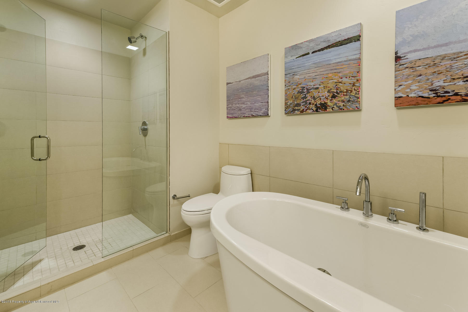 104 Evans Road, Unit 201 Basalt, CO 81621 - Photo 15 of 23 a white bath tub sitting next to a white toilet