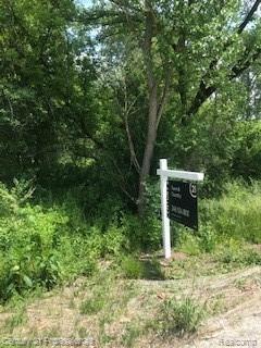 0 Dequindre Road Utica, MI 48317 - Photo 3 of 7