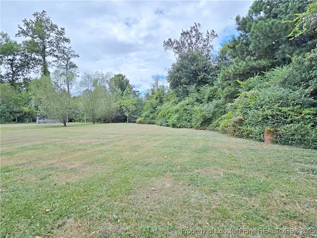 a view of a field with trees in the background