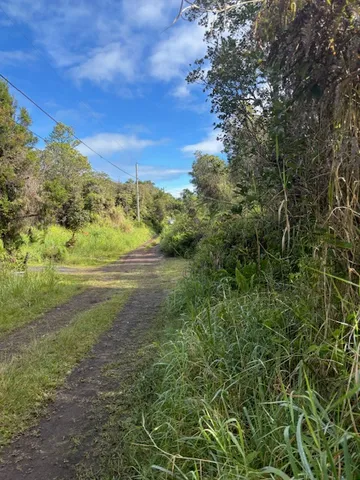 a view of a big yard with lots of green space