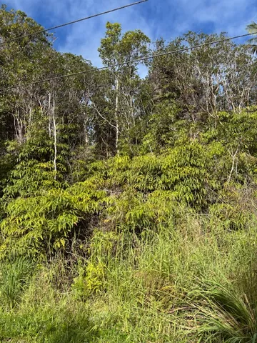 a view of a large yard with lots of bushes