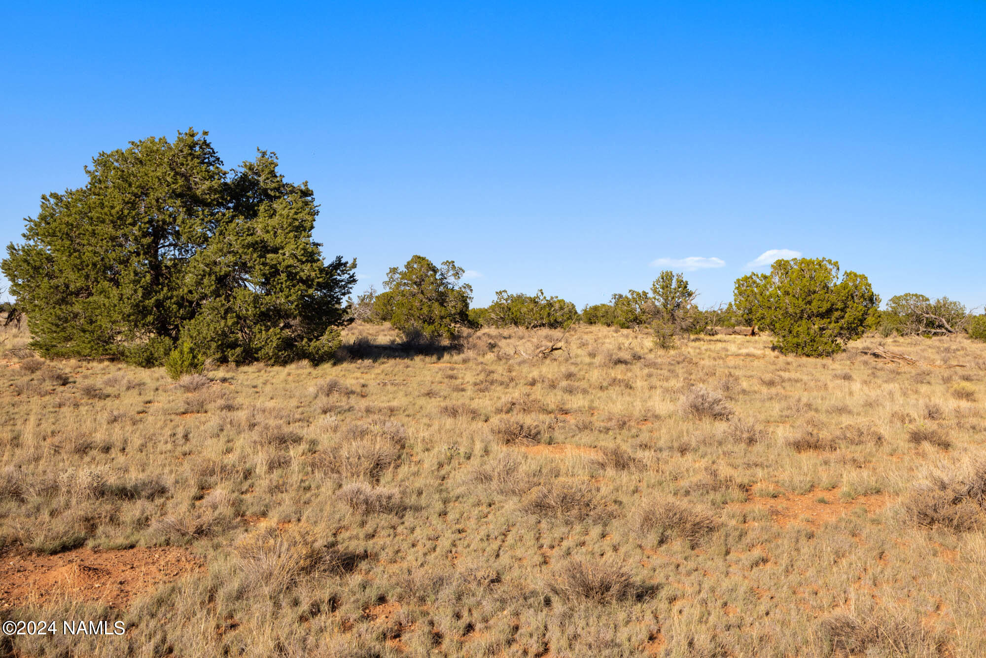 515 North Wyandotte Road Williams, AZ 86046 - Photo 7 of 10 515 N Wyandotte Rd Photo 1