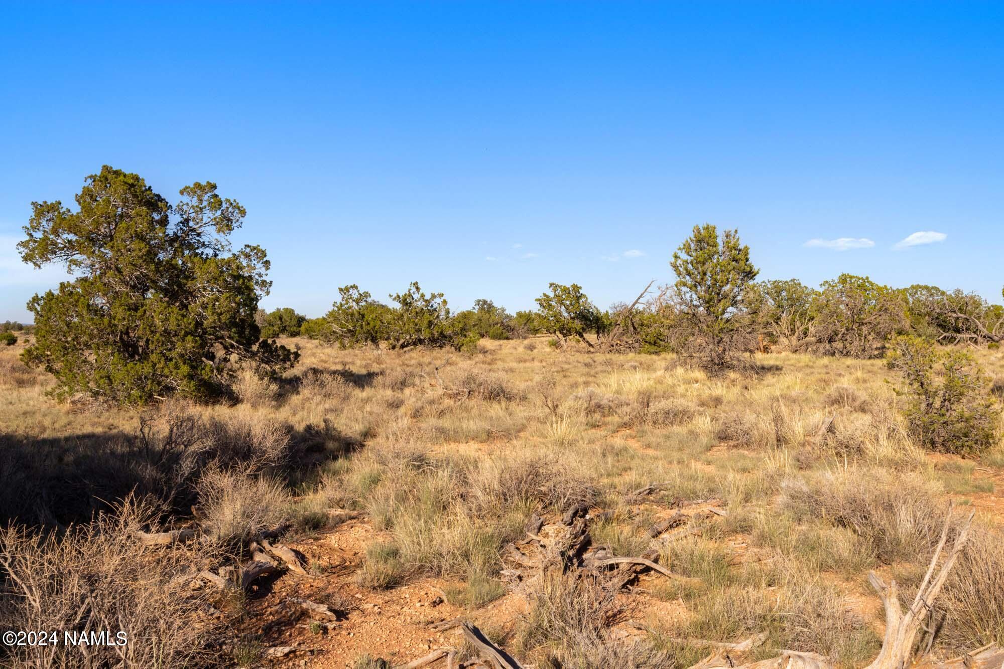 515 North Wyandotte Road Williams, AZ 86046 - Photo 8 of 10 515 N Wyandotte Rd Photo 2