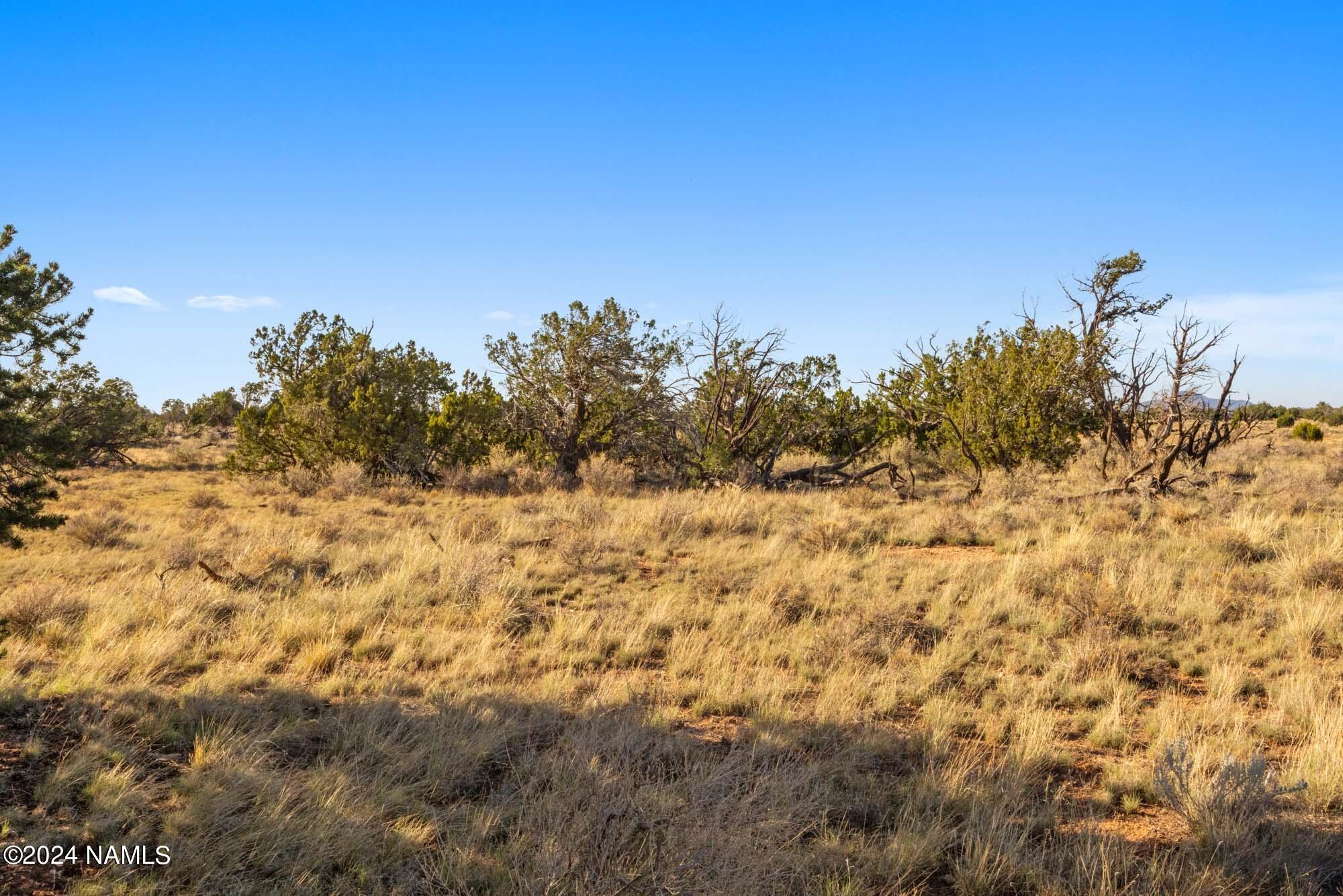 515 North Wyandotte Road Williams, AZ 86046 - Photo 9 of 10 515 N Wyandotte Rd Photo 3