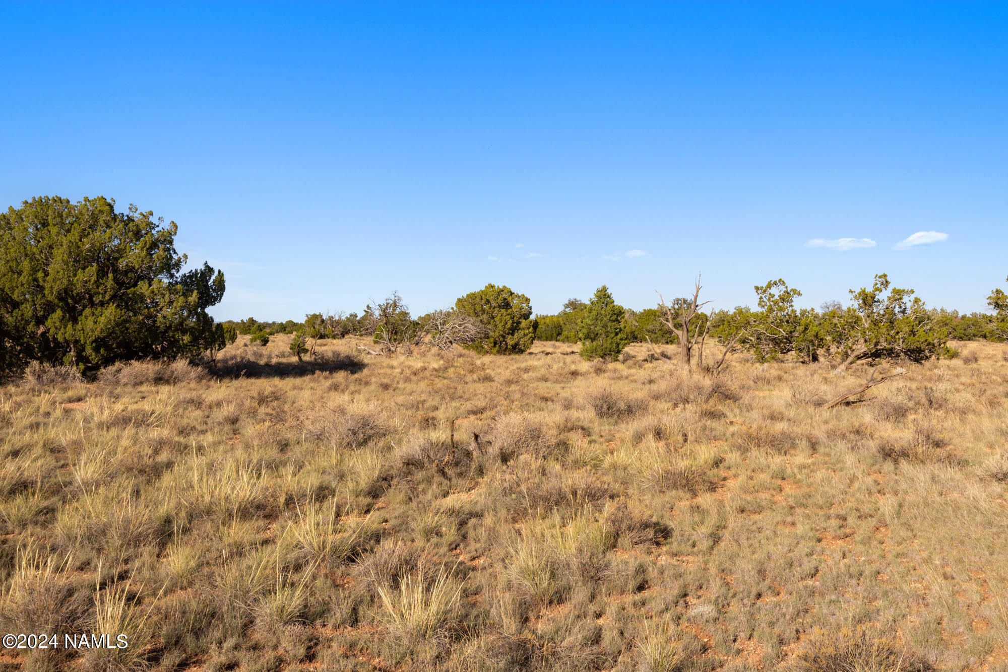 515 North Wyandotte Road Williams, AZ 86046 - Photo 10 of 10 515 N Wyandotte Rd Photo 4